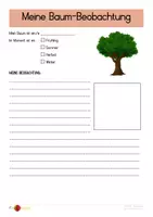 Vorschau - Arbeitsblätter - Naturtagebuch: Beobachten und Dokumentieren - Seite 3