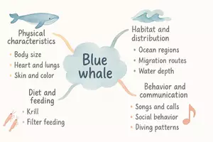 Vorschau - Arbeitsblätter - Englischsprachige AB zum Thema "Blue whale" + Lösung & MP3 + Mindmap - Seite 3