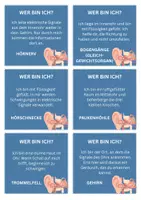 Vorschau - Spiele - Wer bin ich?- Zu den Bestandteilen des Ohres - Seite 2