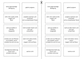 Vorschau - Arbeitsblätter - Wirbeltiere ⎮ Kennzeichen der Lebewesen - Seite 3