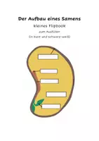 Vorschau - Arbeitsblätter - Aufbau eines Samen Flipbook - Deckblatt