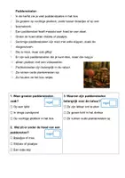 Voorbeeld - Materiaal pakket technisch en begrijpend lezen: Superlezers (2de leerjaar / groep 4) - Pagina 2
