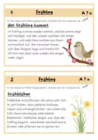 Vorschau - Arbeitsblätter - Abschreibkartei Frühling Klasse 2-4 - Seite 2
