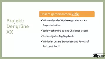 Vorschau - Präsentationen/Tafelbilder - Nachhaltigkeitsprojekt: Der grüne XX mit 4 Challenges - Seite 3