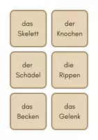 Vorschau - Spiele - Körper / Ernährung, Haut, Gelenke, Muskeln, Blutkreislauf - Seite 3