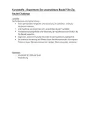 Vorschau - Arbeitsblätter - Schülerexperiment: Der unzerstörbare Beutel / Thermoplast - Seite 1