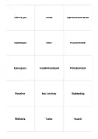 Voorbeeld - Dieren en planten: Spellen met beeldkaarten - Pagina 3
