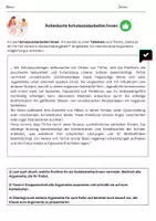 Vorschau - Arbeitsblätter - Debatte - TikTok-Verbot in Deutschland - Seite 2
