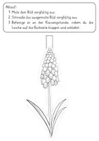 Vorschau - Mal- und Bastelvorlagen - Frühblüher Girlande | Klassenprojekt | Basteln Frühling - Seite 2