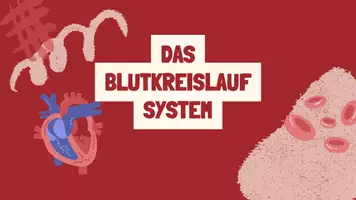 Vorschau - Arbeitsblätter - Das Bloodi-Book - Deckblatt