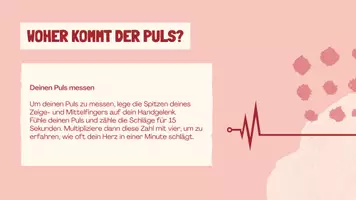 Vorschau - Arbeitsblätter - Das Bloodi-Book - Seite 1