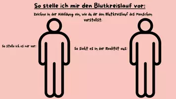 Vorschau - Arbeitsblätter - Das Bloodi-Book - Seite 2