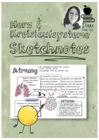 Vorschau - Arbeitsblätter - Sketchnotes Herz und Kreislaufsysteme - Deckblatt