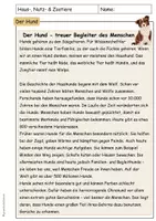 Vorschau - Unterrichtsreihen - Haustiere Nutztiere Zootiere Der Hund Sachunterricht Klasse 3 4 - Seite 3