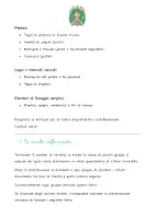 anteprima - Piani di lezione - SET DI LEZIONI - EDUCAZIONE AMBIENTALE♻️ - Pagina 2