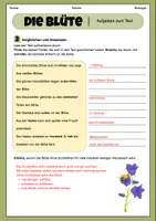 Vorschau - Arbeitsblätter - Die Blüte - Aufbau und Funktion | Unterrichtsreihe "Blütenpflanzen", Biologie 5.-6. Klasse - Seite 2