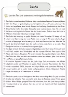 Vorschau - Arbeitsblätter - Luchs Lesetext mit Fragen + Lösungen Leseverstehen Wortspeicher didaktische Reserve Lesen Leseverständnis - Seite 3