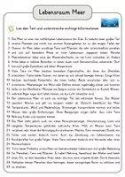 Vorschau - Arbeitsblätter - Lebensraum Meer Lesetext mit Fragen + Lösungen Leseverstehen Wortspeicher didaktische Reserve Lesen Leseverständnis - Seite 3