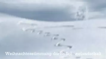 Vorschau - Mal- und Bastelvorlagen - Gestickte Weihnachtskarten - das besondere Kunstprojekt! - Seite 2