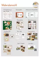 Vorschau - Unterrichtsreihen - Der Igel - GESAMTPAKET - Klasse 1/2 - differenziert (inkl. Stundenentwürfe) - Seite 2
