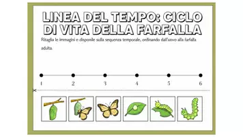 anteprima - Materiale di supporto/inclusione - LINEA DEL TEMPO, ORDINA (CLASSE 2-3 ELEM) - Pagina 3