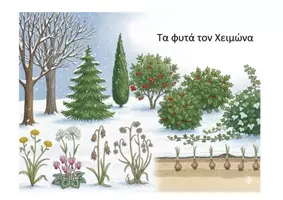 Προεπισκόπηση - Διδακτικά / Σχολικά βιβλία - Τα φυτά τον χειμώνα - Εξώφυλλο