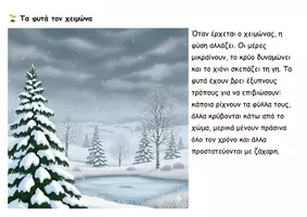 Προεπισκόπηση - Διδακτικά / Σχολικά βιβλία - Τα φυτά τον χειμώνα - Σελίδα 2