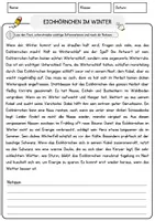 Vorschau - Arbeitsblätter - Eichhörnchen im Winter Arbeitsblätter mit Fragen Lesetraining mit Lösungen Lesetext - Seite 1