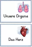 Vorschau - Unterrichtsreihen - Reihentransparenz - Mein Körper - Seite 3