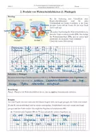 Vorschau - Stundenentwürfe - Mathe 10. Klasse Produkt von Wahrscheinlichkeiten (1. Pfadregel) - Seite 1
