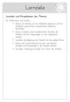 Vorschau - Arbeitsblätter - Antarktis Arbeitsblätter❄️ - 2./3. Klasse - Seite 3