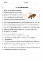 Vorschau - Arbeitsblätter - Sachtext - Die fleißige Biene - Deckblatt