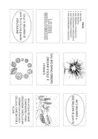 anteprima - Materiale di supporto/inclusione - LAPBOOK ERE GEOLOGICHE - Pagina di copertina