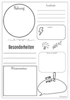 Vorschau - Arbeitsblätter - Tier- Steckbrief Vorlage - Seite 1