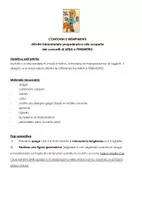 anteprima - Esercizi - CONTORNI E RIEMPIMENTI_attività prop AREA e PERIMETRO - Pagina 1