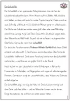 Vorschau - Unterrichtsreihen - Einheit Bionik: Der Loutuseffekt (Klasse 3/4) - Seite 3