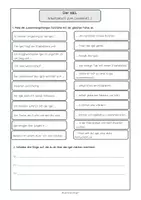 Vorschau - Arbeitsblätter - IGEL Leseblatt inklusive 3 Arbeitsblätter - Seite 3