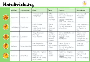 Vorschau - Stundenentwürfe - Wälder der Erde (Gruppenpuzzle/STEX) (BUV) - Seite 3