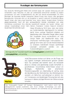 Vorschau - Arbeitsblätter - Rente Materialpaket: Demografischer Wandel & Sozialstaat - Seite 2