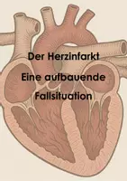 Vorschau - Arbeitsblätter - Der Herzinfarkt - eine aufbauende Fallsituation für Gruppenarbeiten - Seite 1