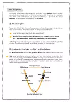 Vorschau - Merkblätter - Merkblatt Parabelanalyse (mit Schreibkonferenz) - Seite 1