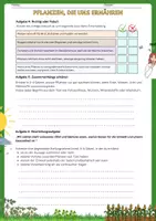 Vorschau - Arbeitsblätter - Pflanzen, die uns ernähren: Getreide, Obst und Gemüse - Seite 3