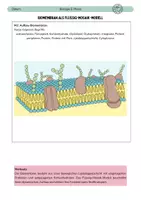 Vorschau - Arbeitsblätter - Biomembran: Flüssig-Mosaik-Modell - Seite 1