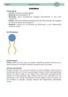 Vorschau - Arbeitsblätter - Aufbau Biomembran: Phospholipid-Doppelschicht - Seite 1