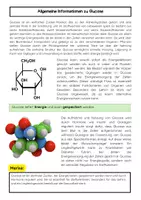 Vorschau - Arbeitsblätter - Glucose: Energie, Stoffwechsel, Glykolyse - Seite 1