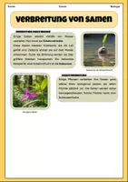 Vorschau - Arbeitsblätter - Verbreitung von Samen | Unterrichtsreihe "Blütenpflanzen", Biologie 5.-6. Klasse - Seite 3