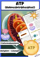 Vorschau - Arbeitsblätter - ATP Energie Molekül: einfach erklärt - Deckblatt