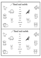 Vorschau - Arbeitsblätter - Pets Activity Booklet (Englisch Grundschule) - Seite 3
