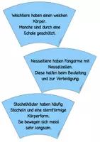 Vorschau - Stationenlernen - Meerestiere - Legekreis - Seite 3