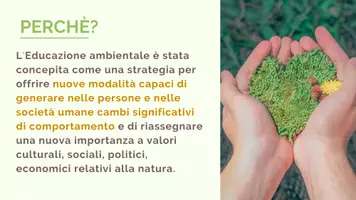 anteprima - Schede informative - Educazione ambientale - Pagina 3